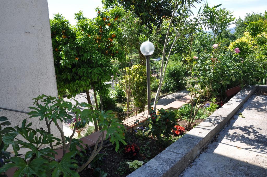 B&B La Palombara Giuliano di Roma Bagian luar foto